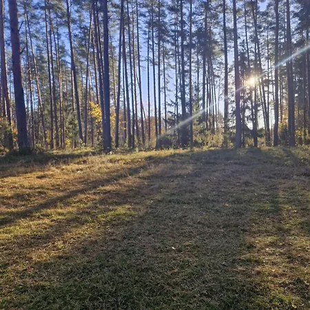 Mazurska Ostoja * Wiartel